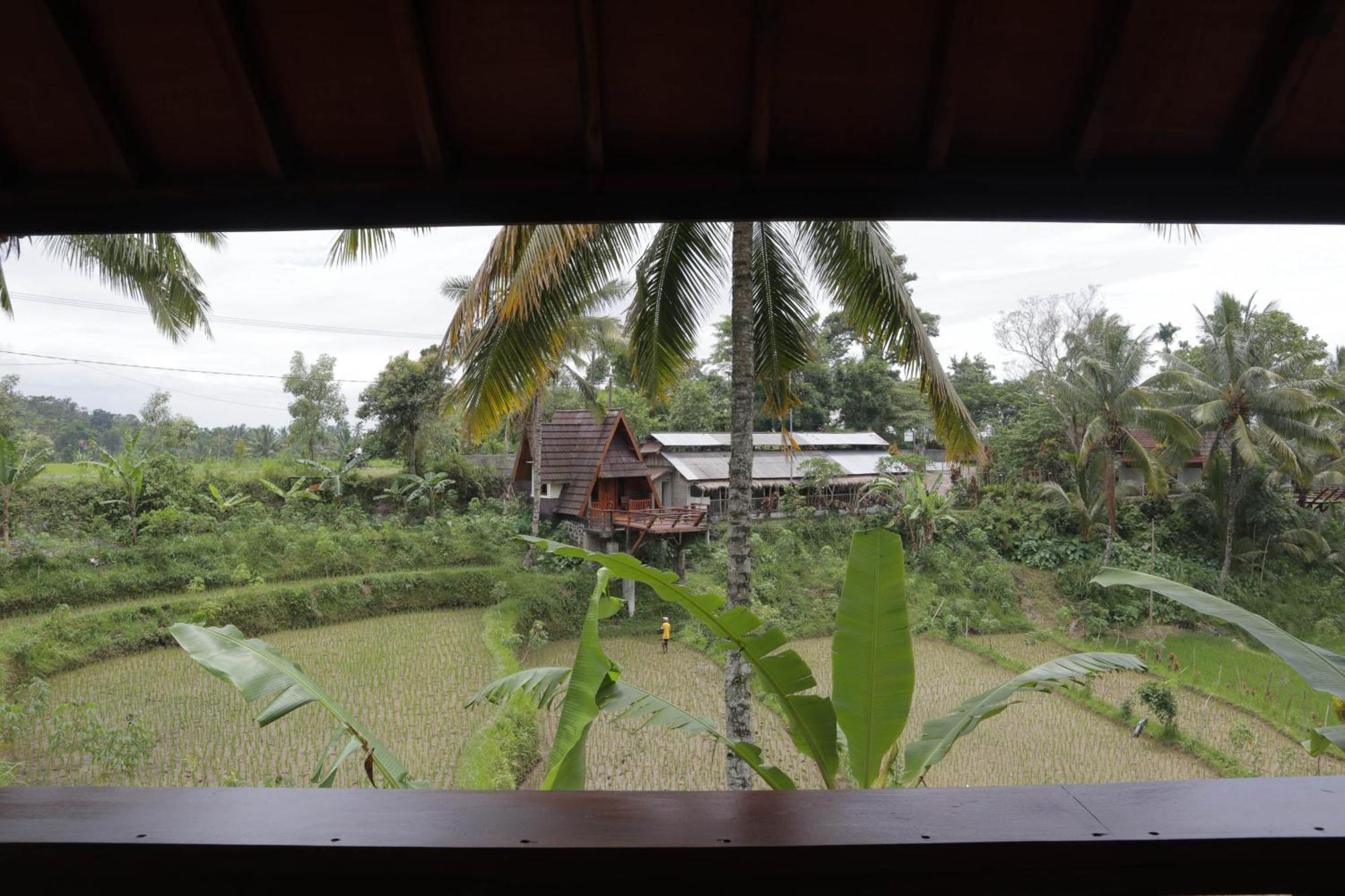Nea Cottage Lombok تيتيباتو المظهر الخارجي الصورة