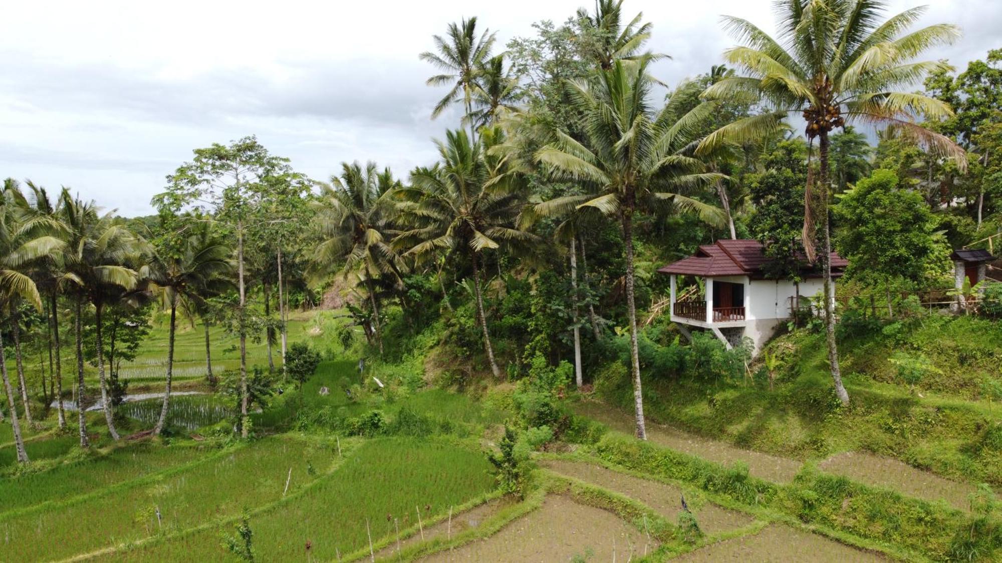Nea Cottage Lombok تيتيباتو المظهر الخارجي الصورة
