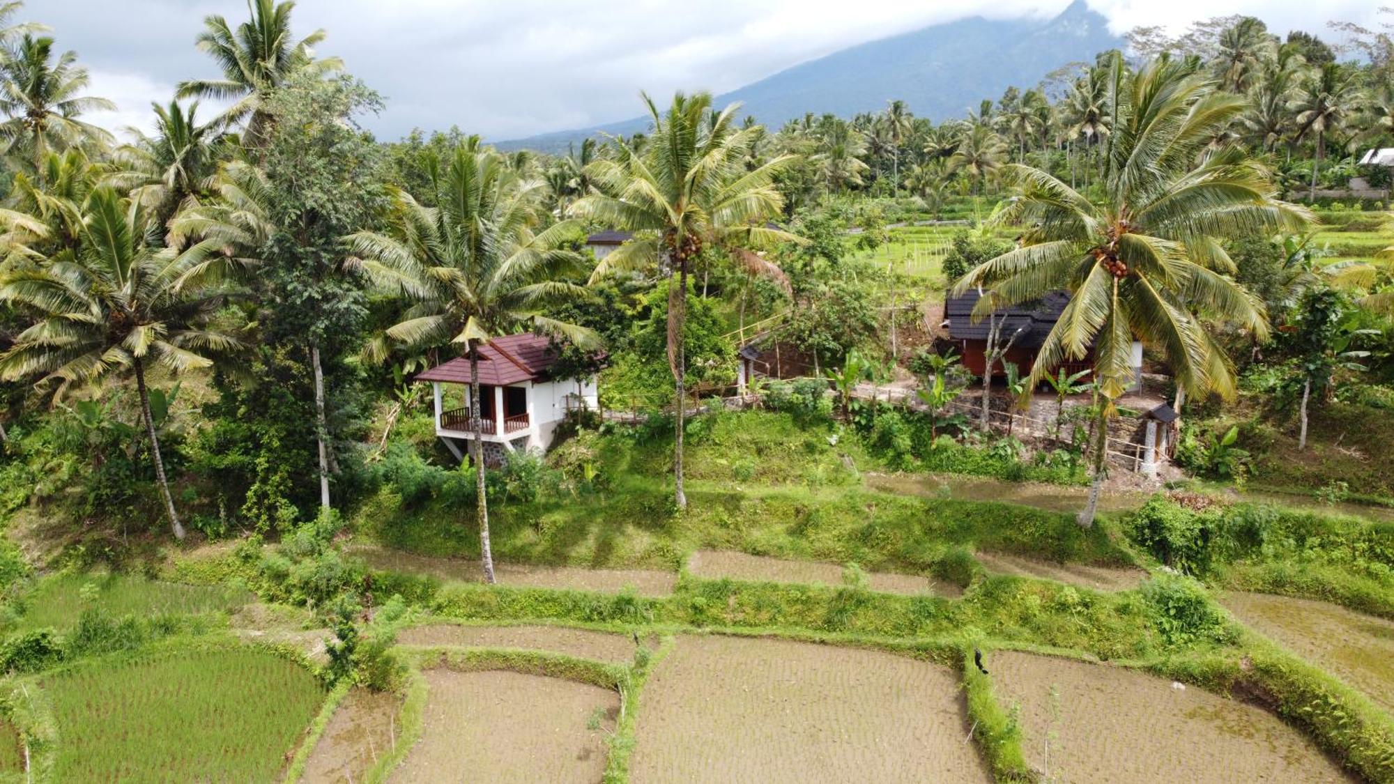 Nea Cottage Lombok تيتيباتو المظهر الخارجي الصورة