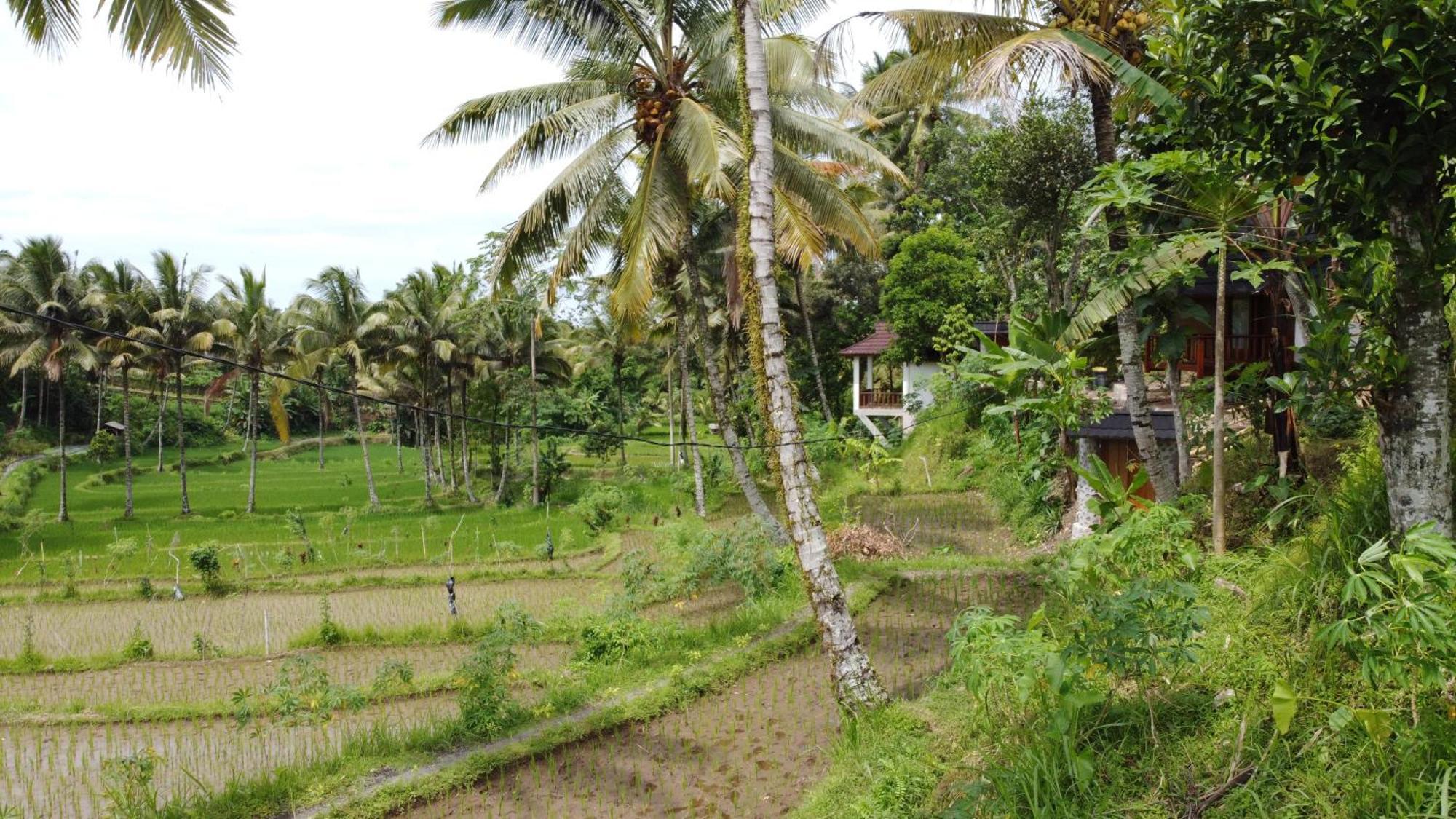 Nea Cottage Lombok تيتيباتو المظهر الخارجي الصورة