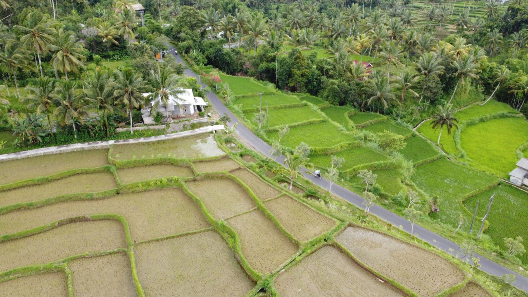 Nea Cottage Lombok تيتيباتو المظهر الخارجي الصورة