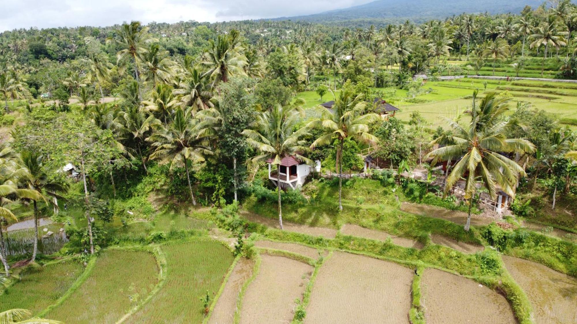 Nea Cottage Lombok تيتيباتو المظهر الخارجي الصورة