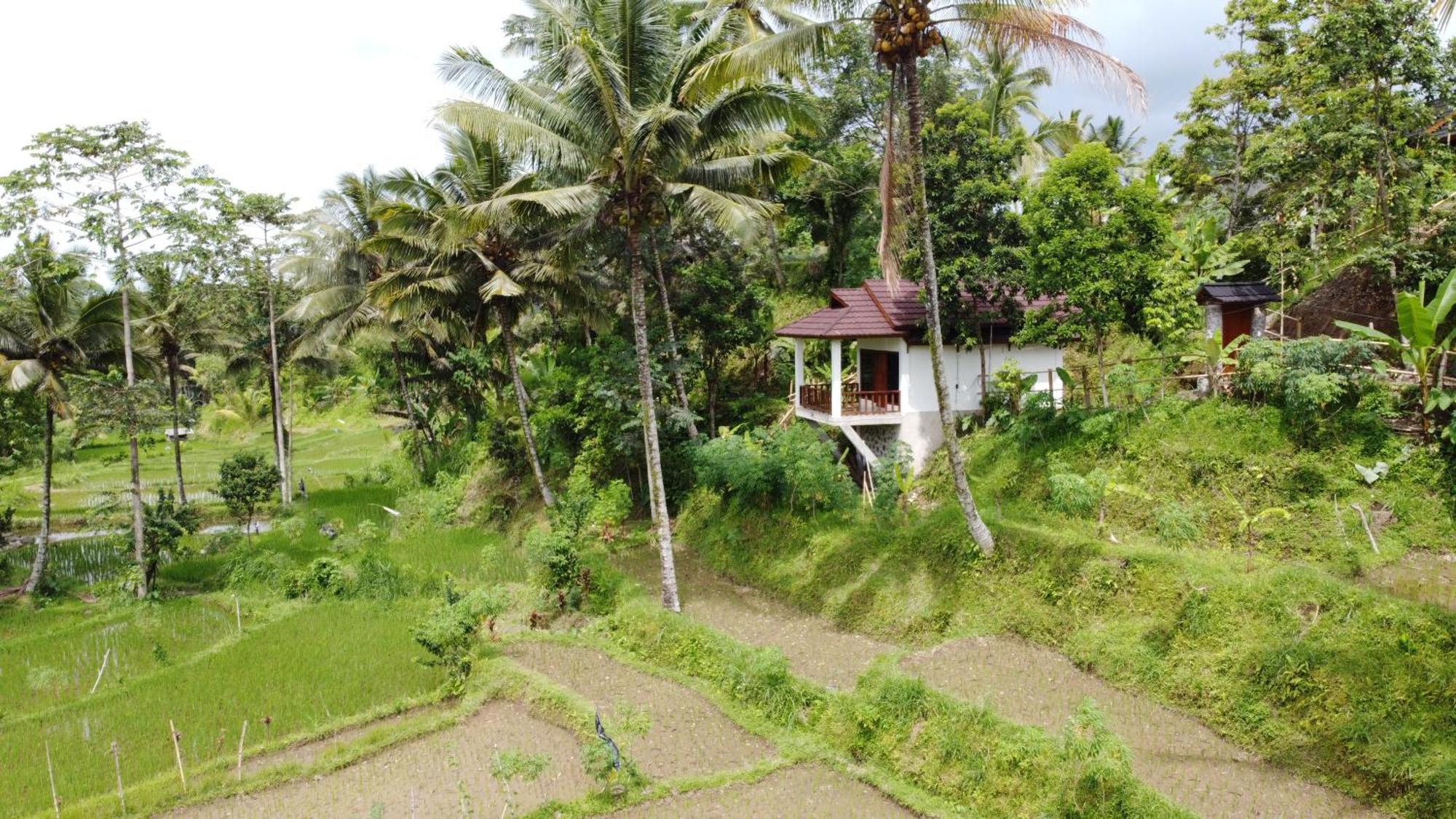 Nea Cottage Lombok تيتيباتو المظهر الخارجي الصورة