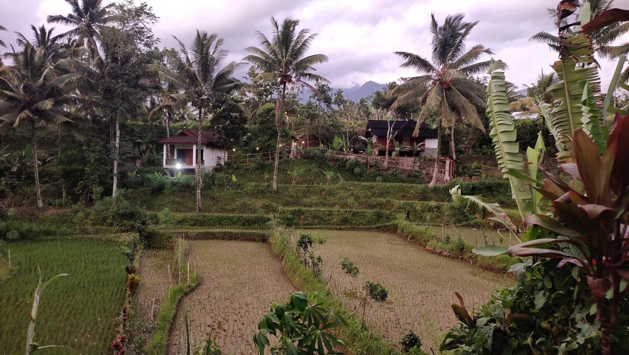 Nea Cottage Lombok تيتيباتو المظهر الخارجي الصورة
