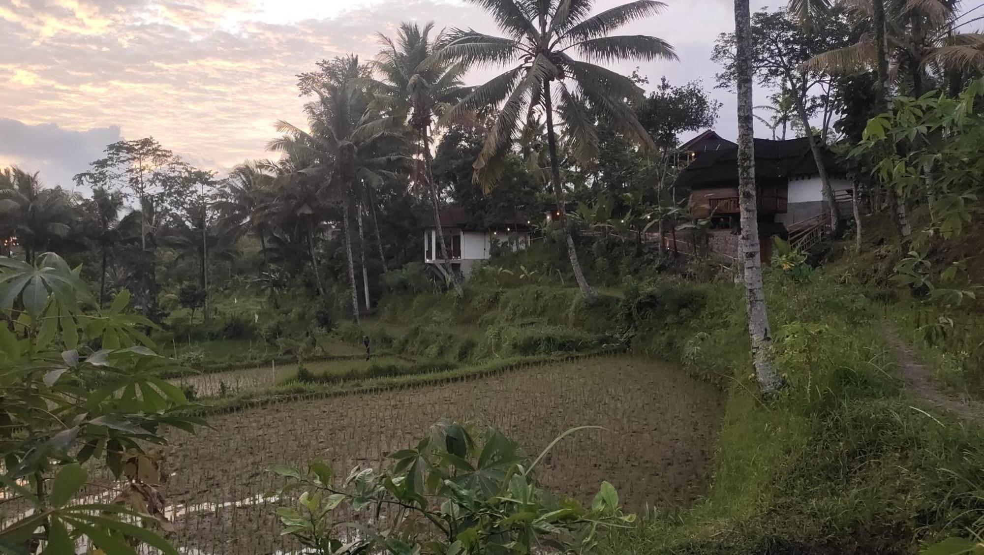Nea Cottage Lombok تيتيباتو المظهر الخارجي الصورة