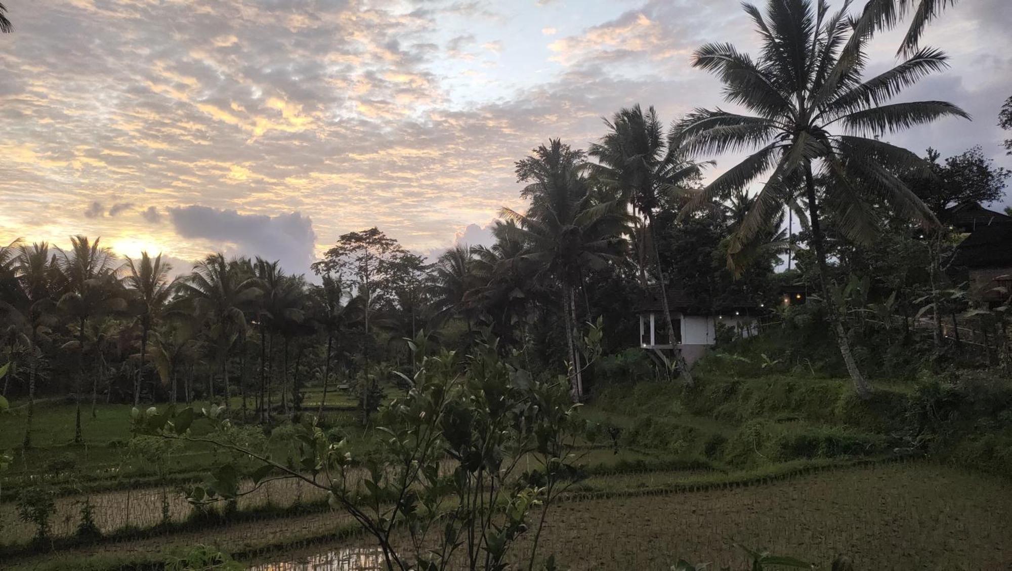 Nea Cottage Lombok تيتيباتو المظهر الخارجي الصورة